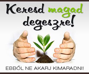 kmd_300x250.jpg kmd_300x250.jpg